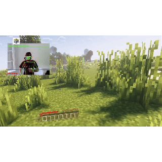 VR mode gameplay with DIY cardboard headset